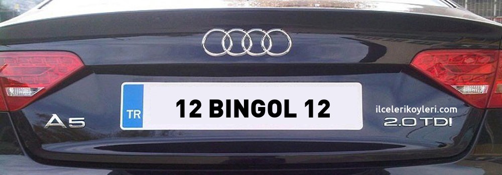 Bingöl Plaka Kodu